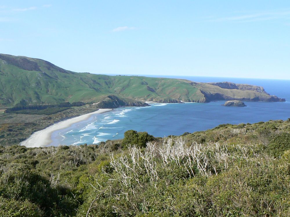 Allans Beach from Sandymount