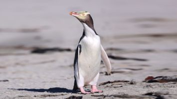 Activities Activities