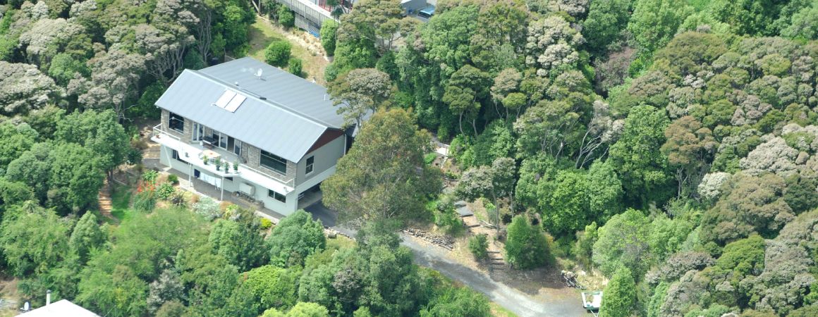 Dunedin accommodation