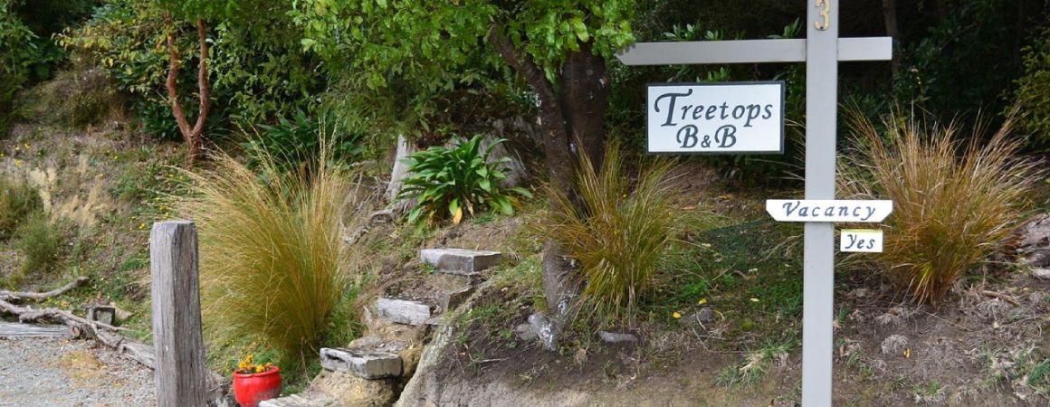 Accommodation in Dunedin