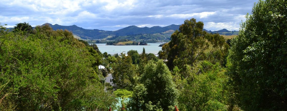 Beautiful Portobello